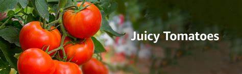 Fresh Tomato Hybrid, 1kg